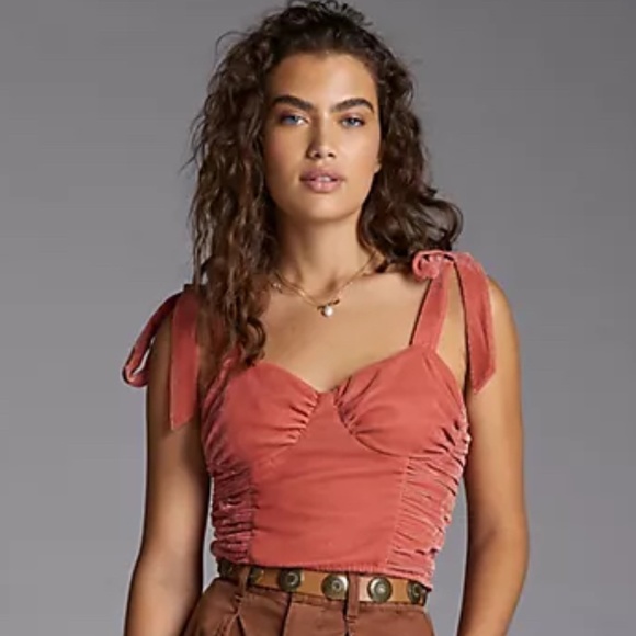 Anthropologie Tops - Forever That Girl | Corset-Seamed Velvet Crop Top | NWT